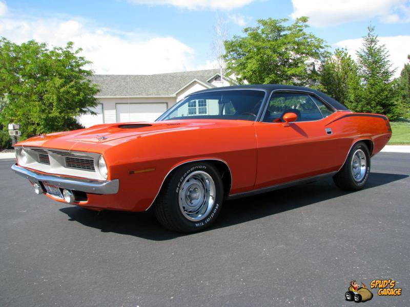 Name:  Cuda.jpg
Views: 79
Size:  73.2 KB