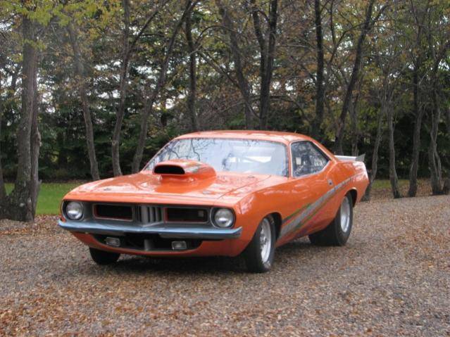 028 (640x480).jpg