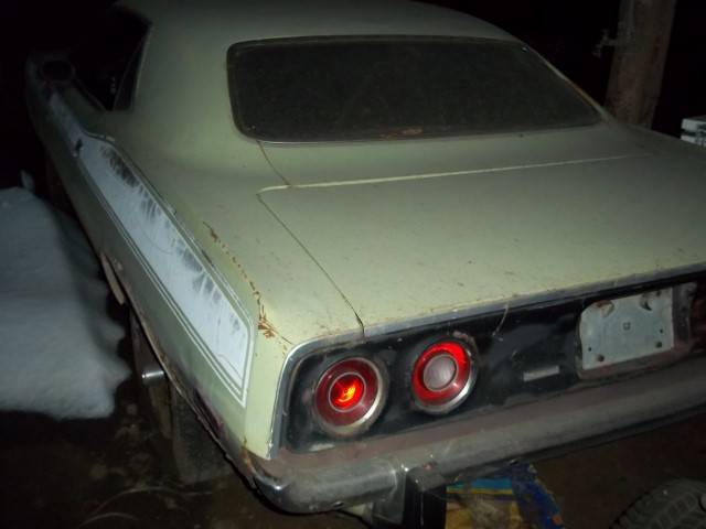 100_1039 - Copy (Small).JPG