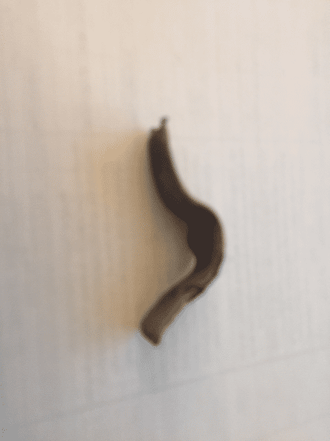 1603647306897.png