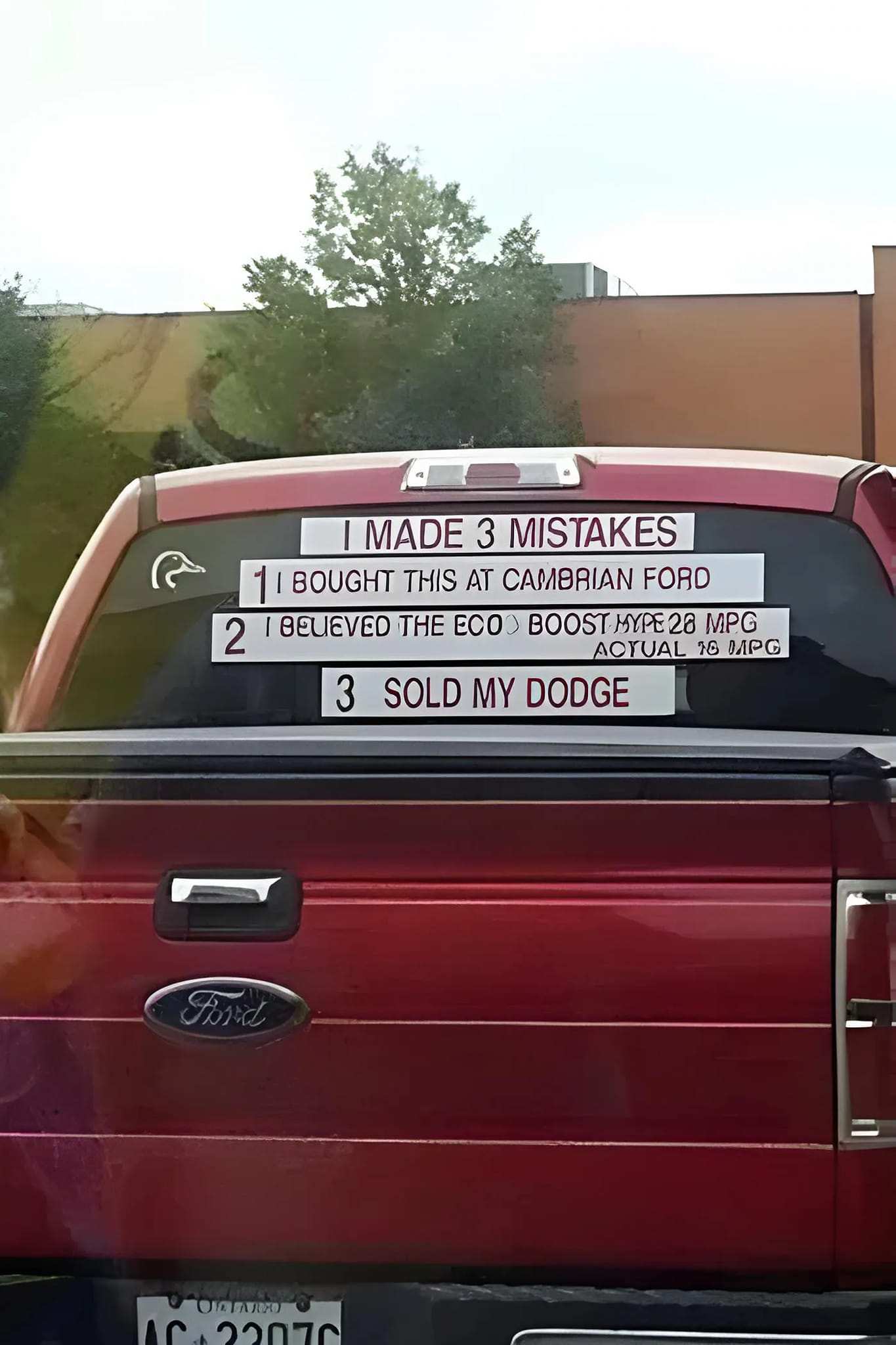 1709835585885.jpeg