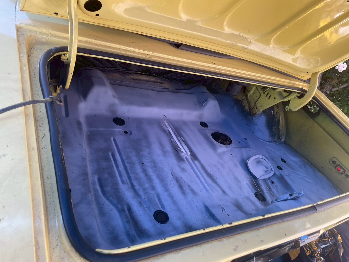 1757243004887.jpg