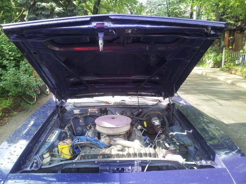 2011-08-21 16.43.35.jpg