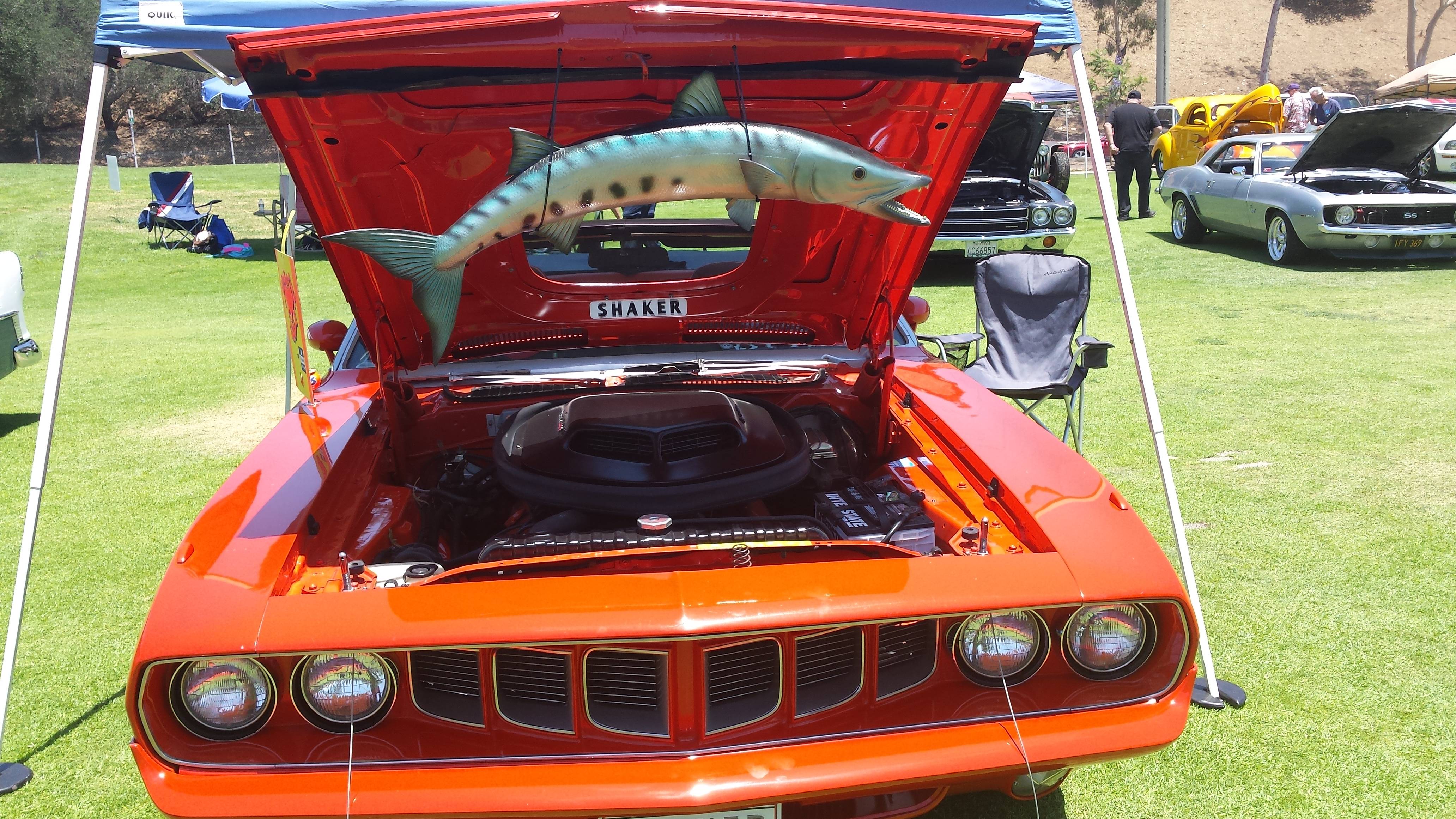 20150620_132855.jpg
