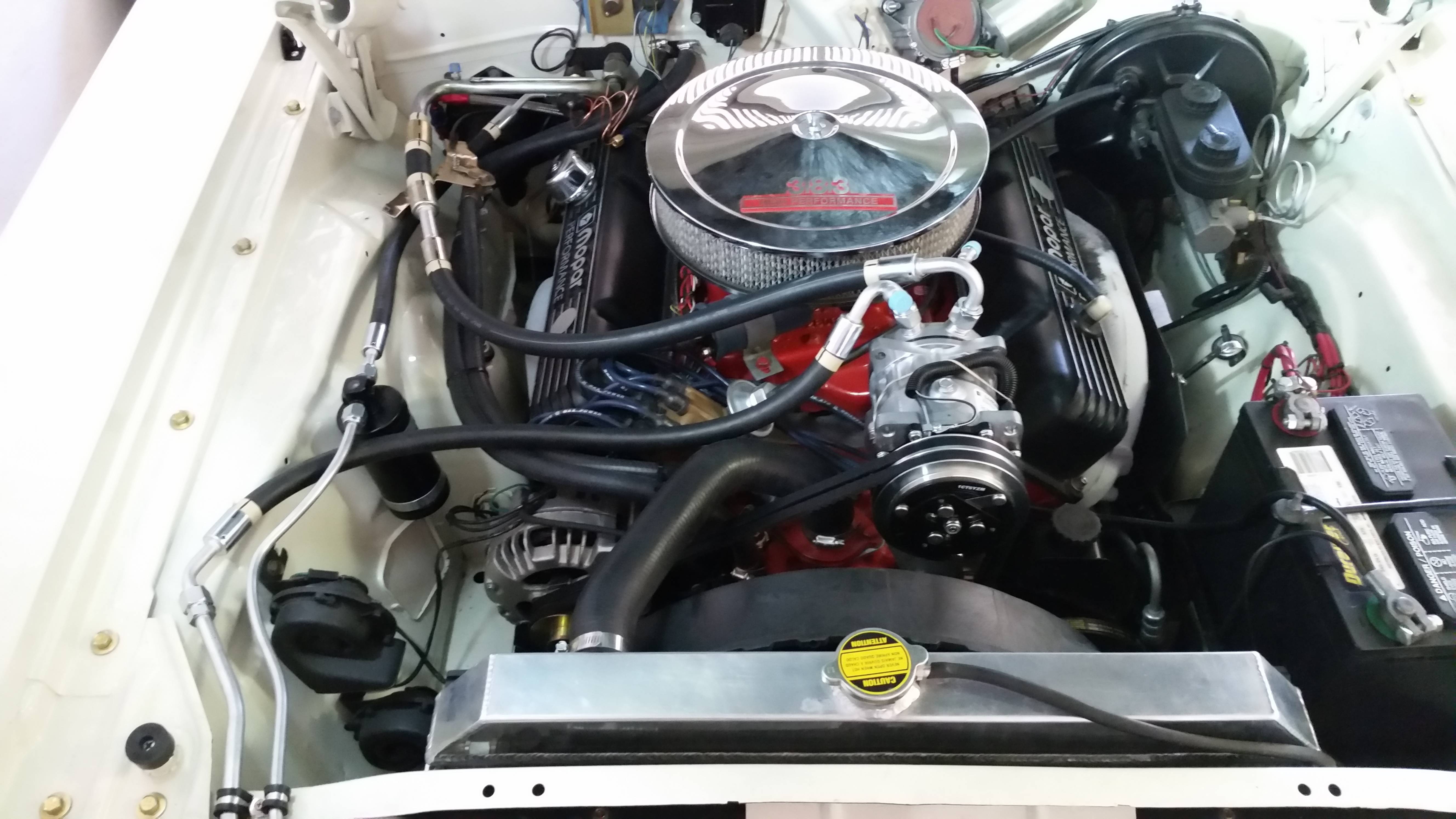 20180602_104217.jpg