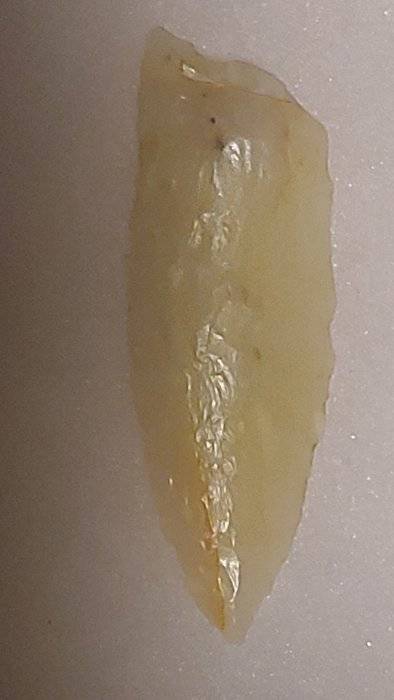 20200420_220706.jpg