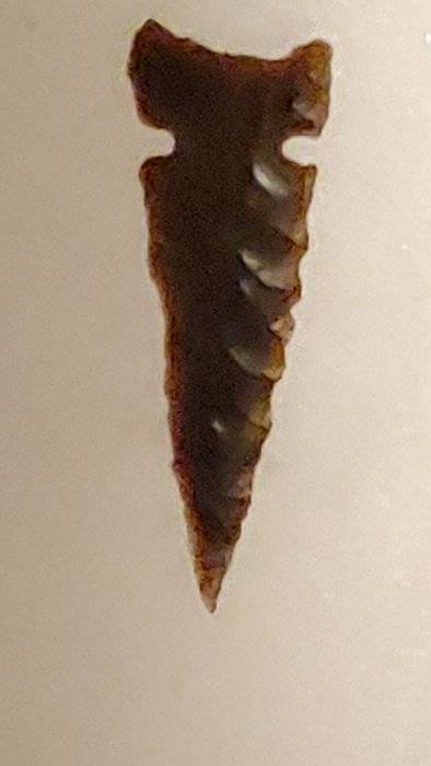 20200420_220800.jpg