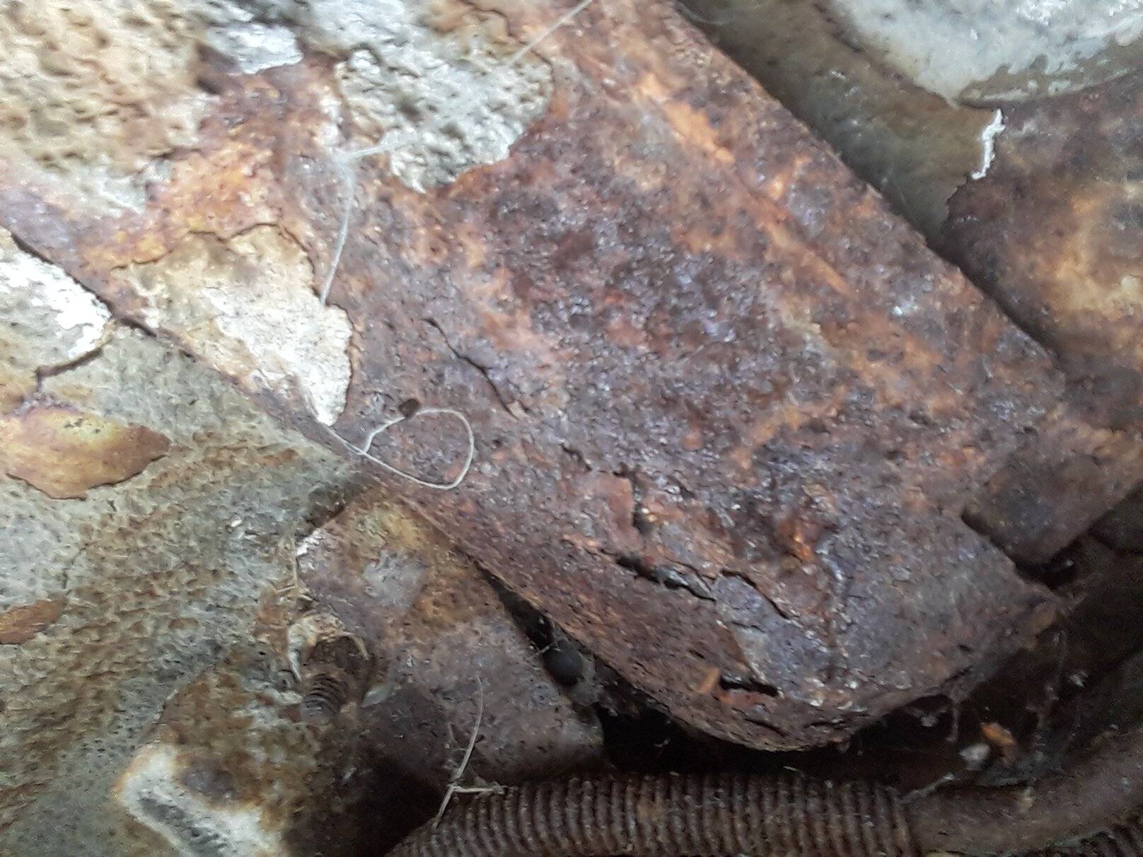 20201013_200242.jpg