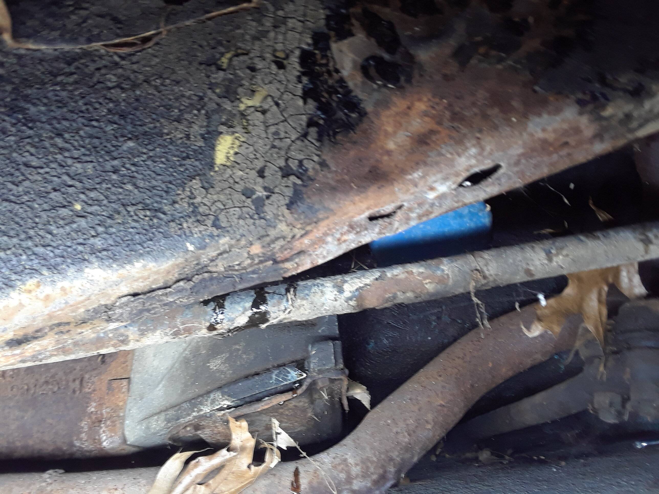 20201013_200535.jpg
