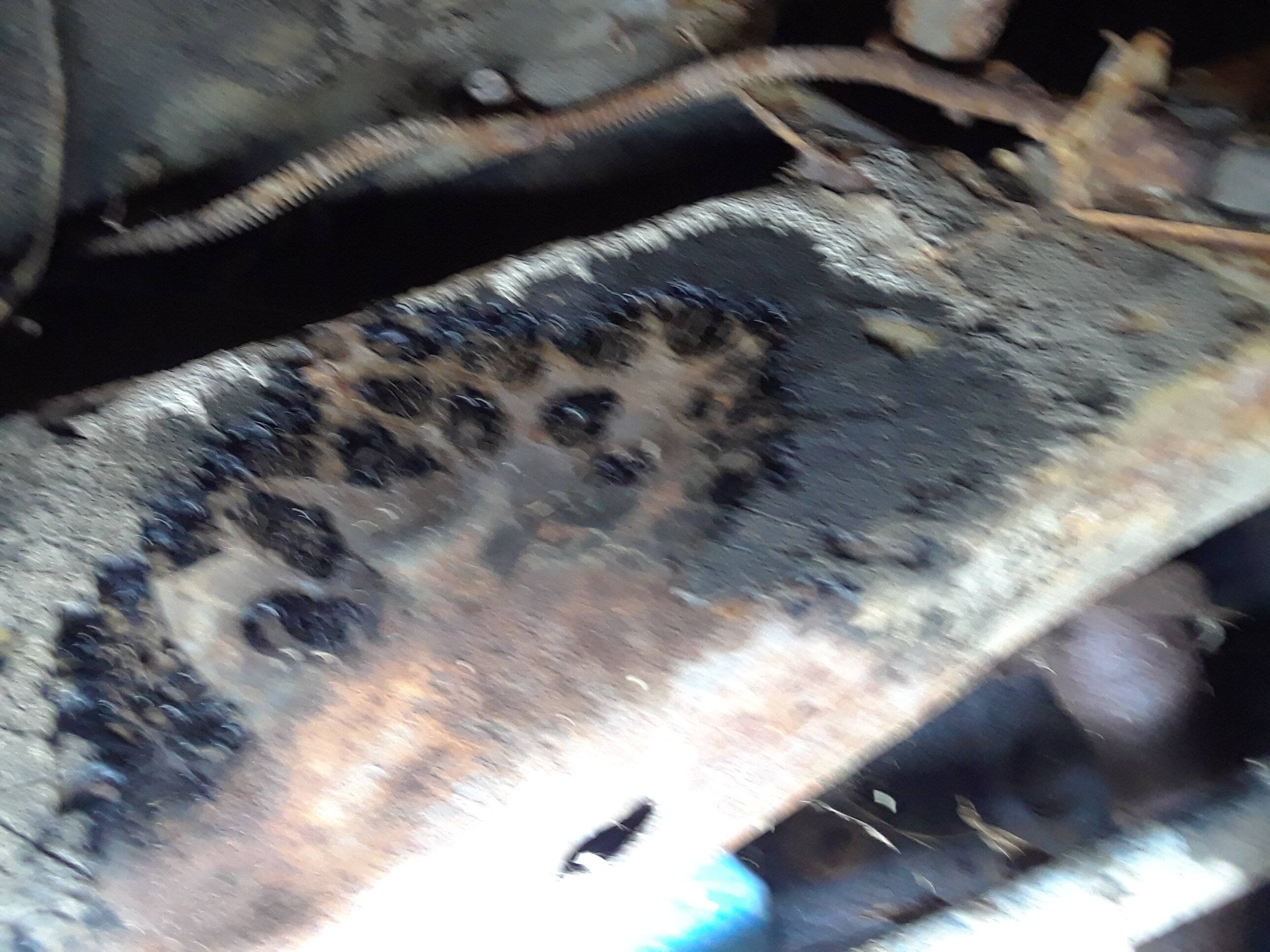 20201013_200543.jpg