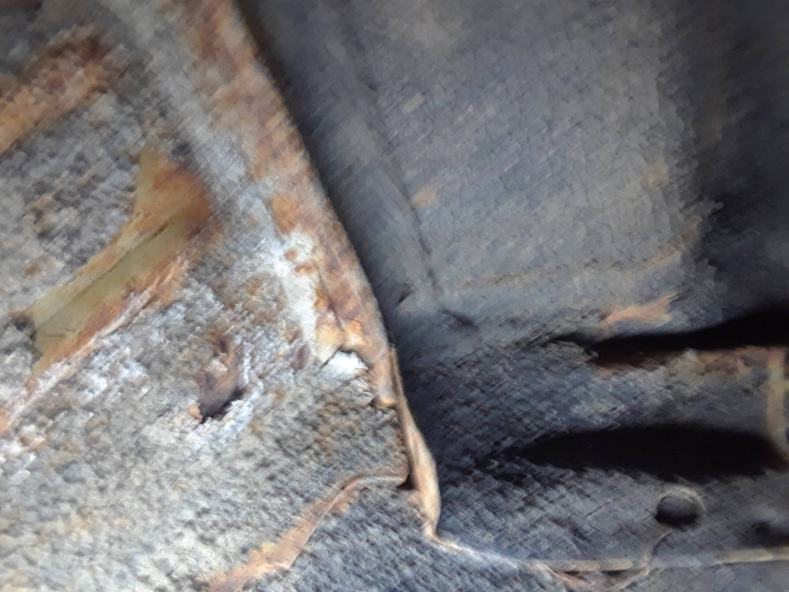 20201013_200557.jpg