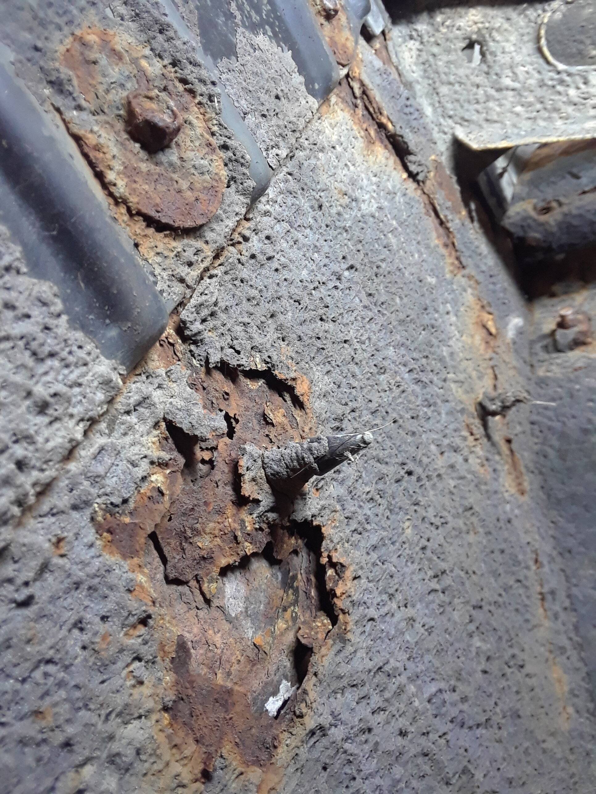 20201013_200851.jpg