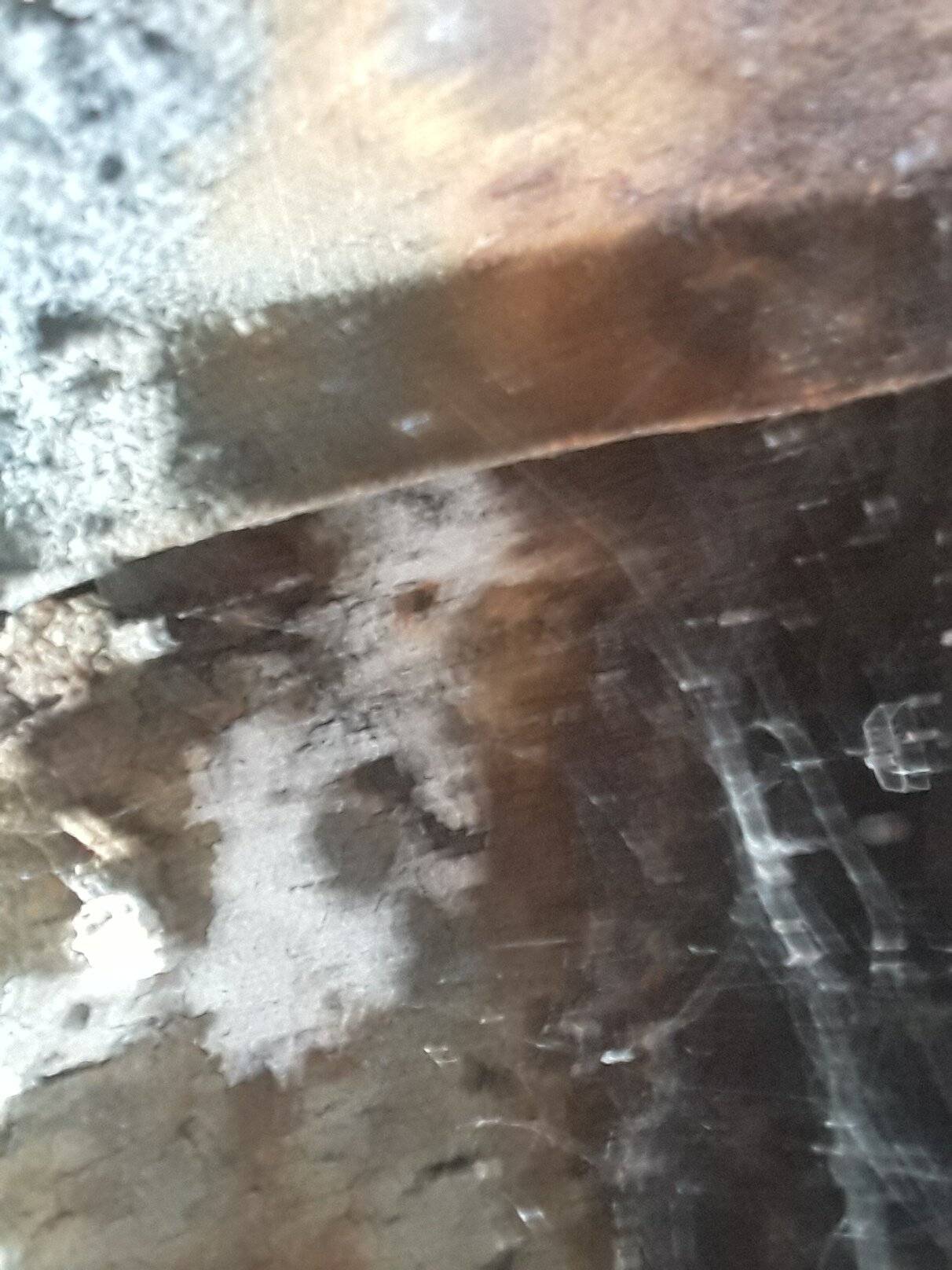 20201013_201156.jpg