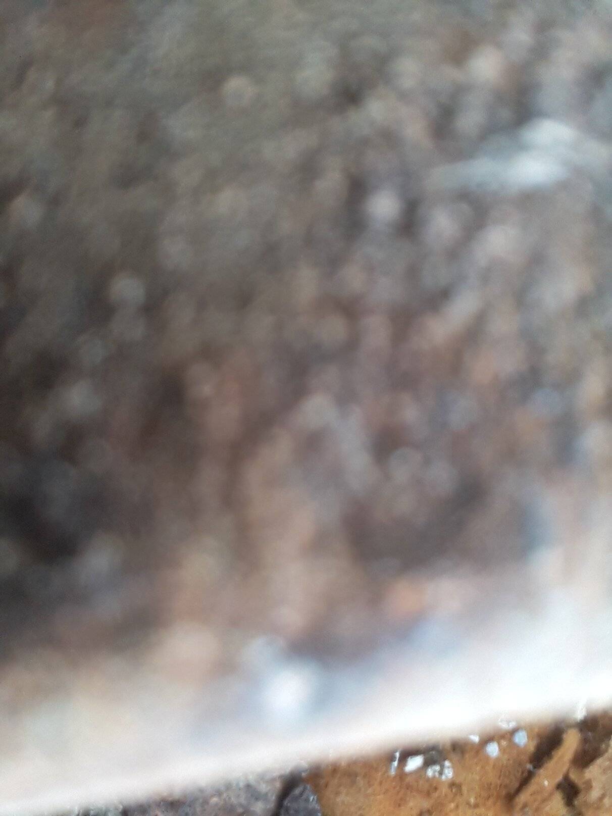 20201013_201224.jpg