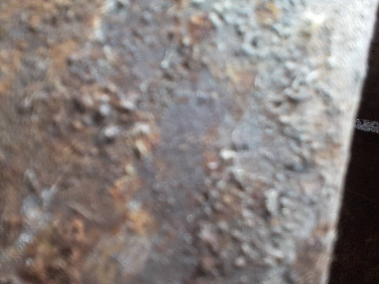 20201013_201235.jpg