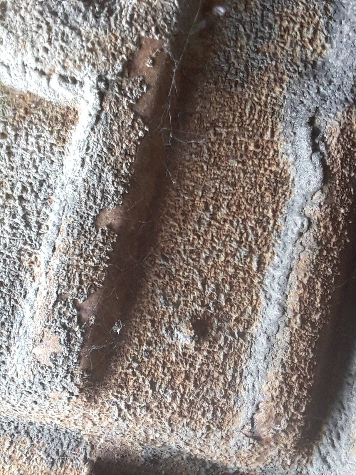 20201013_201346.jpg