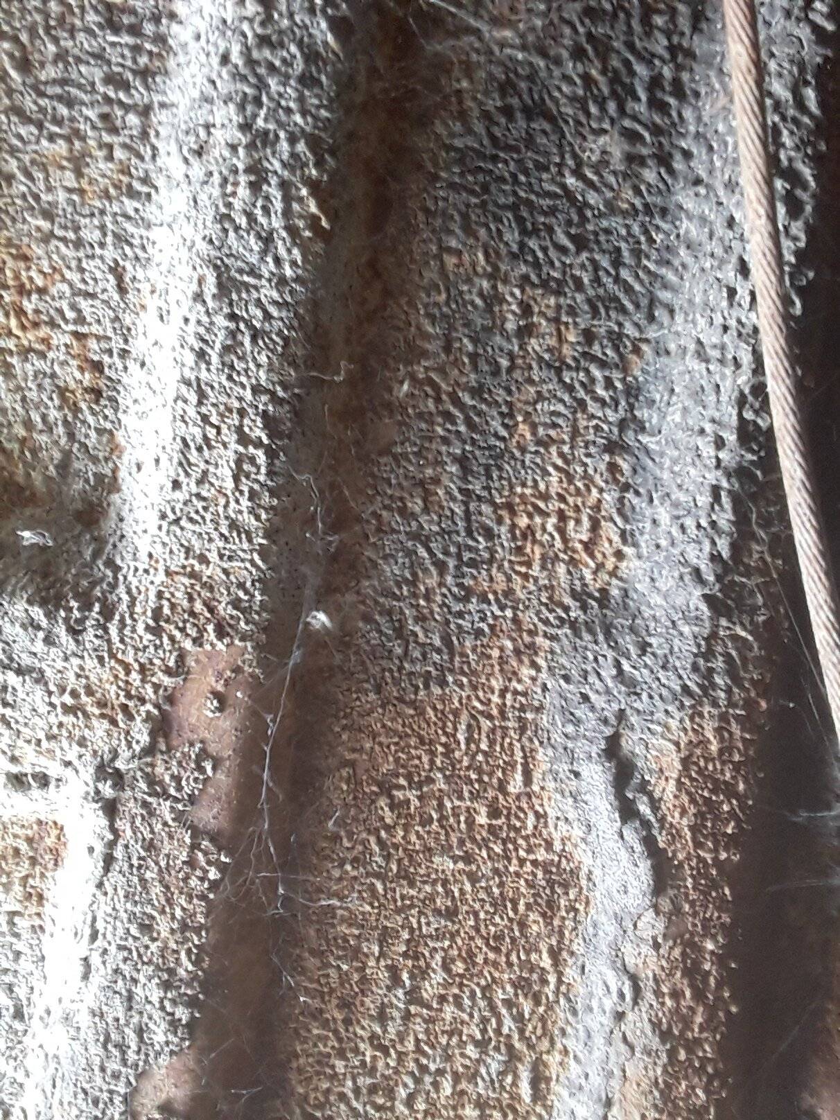 20201013_201351.jpg