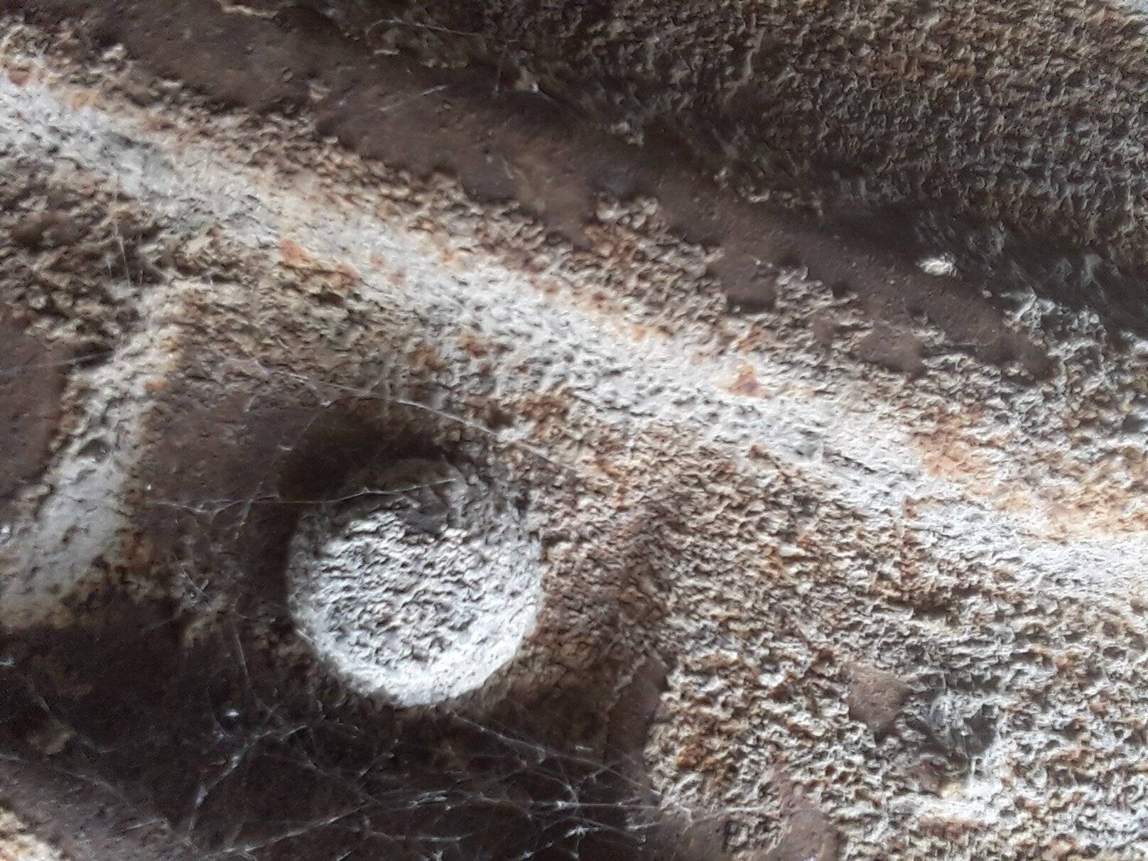20201013_201406.jpg