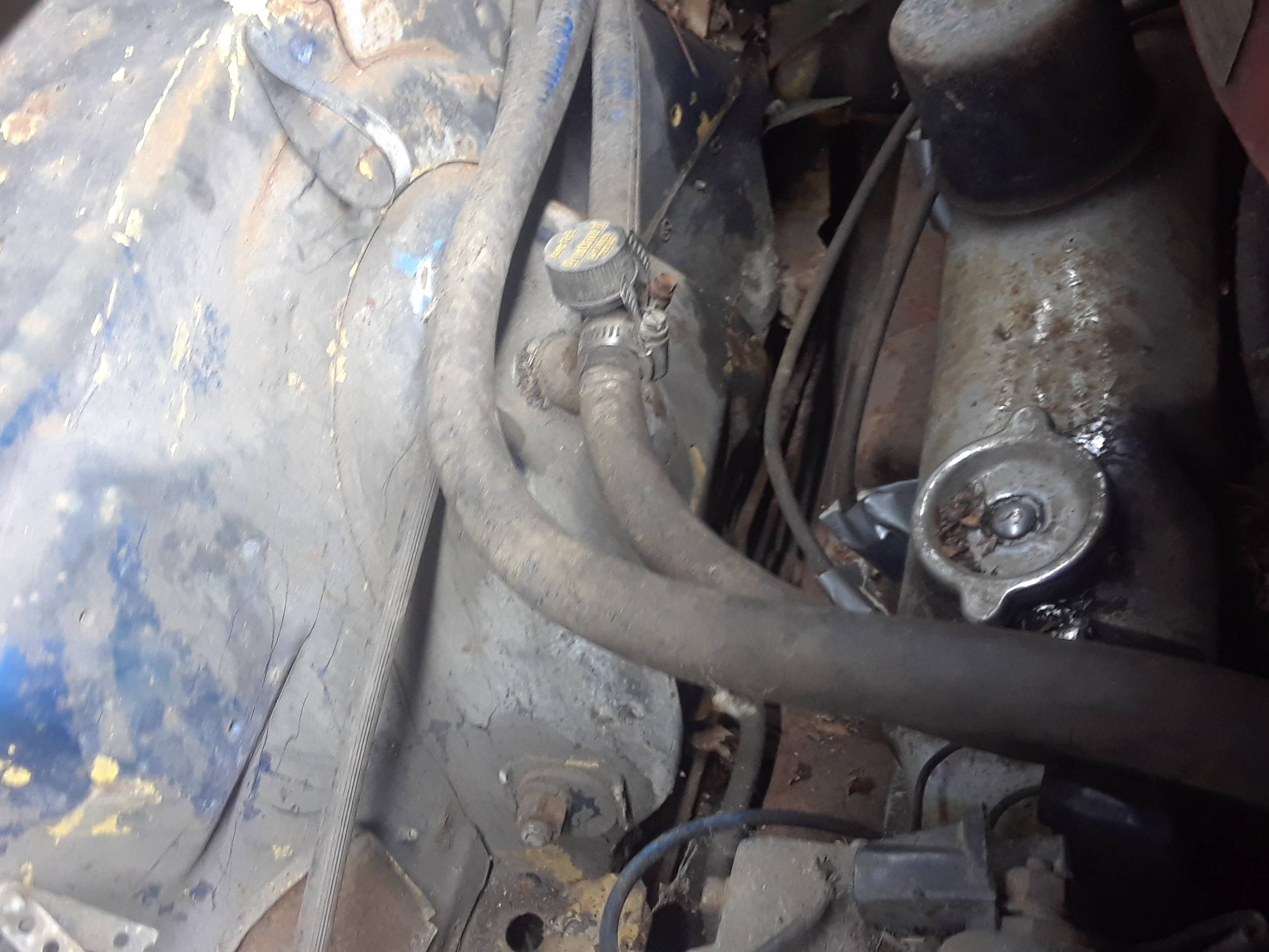 20201022_193216.jpg
