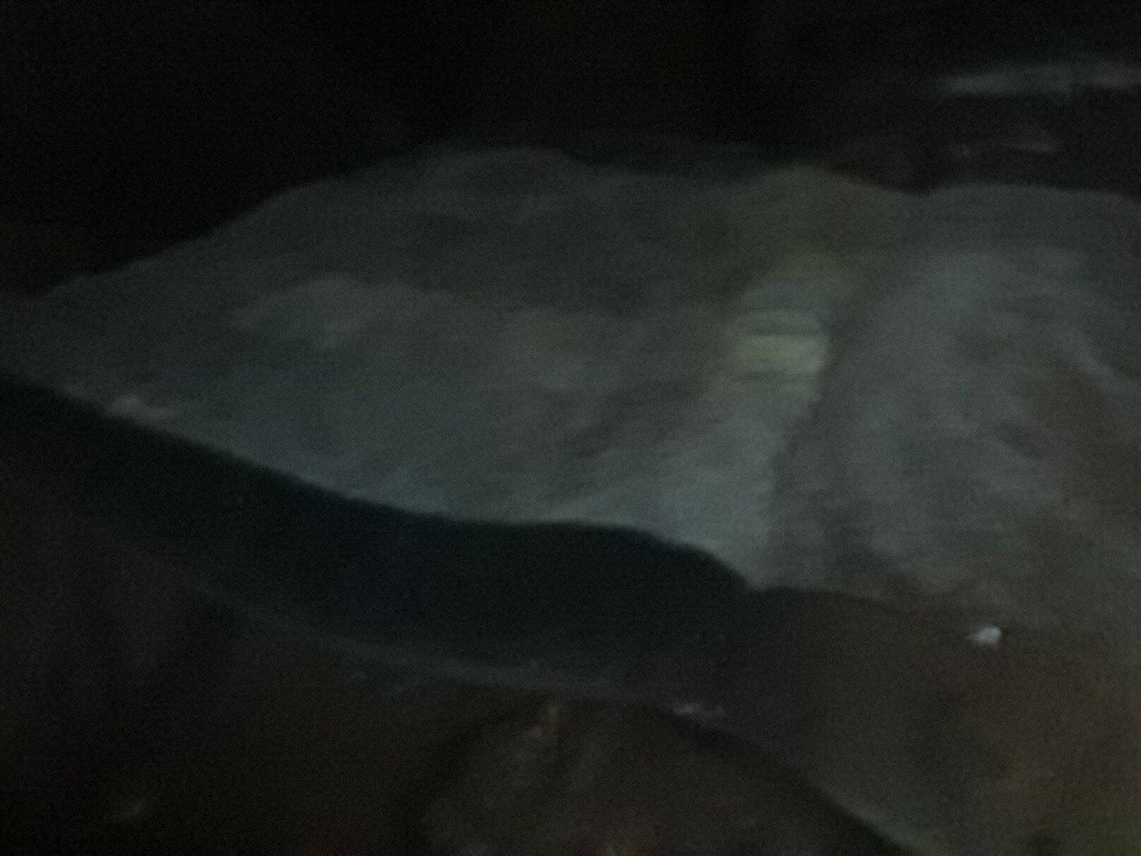 20201022_194357.jpg
