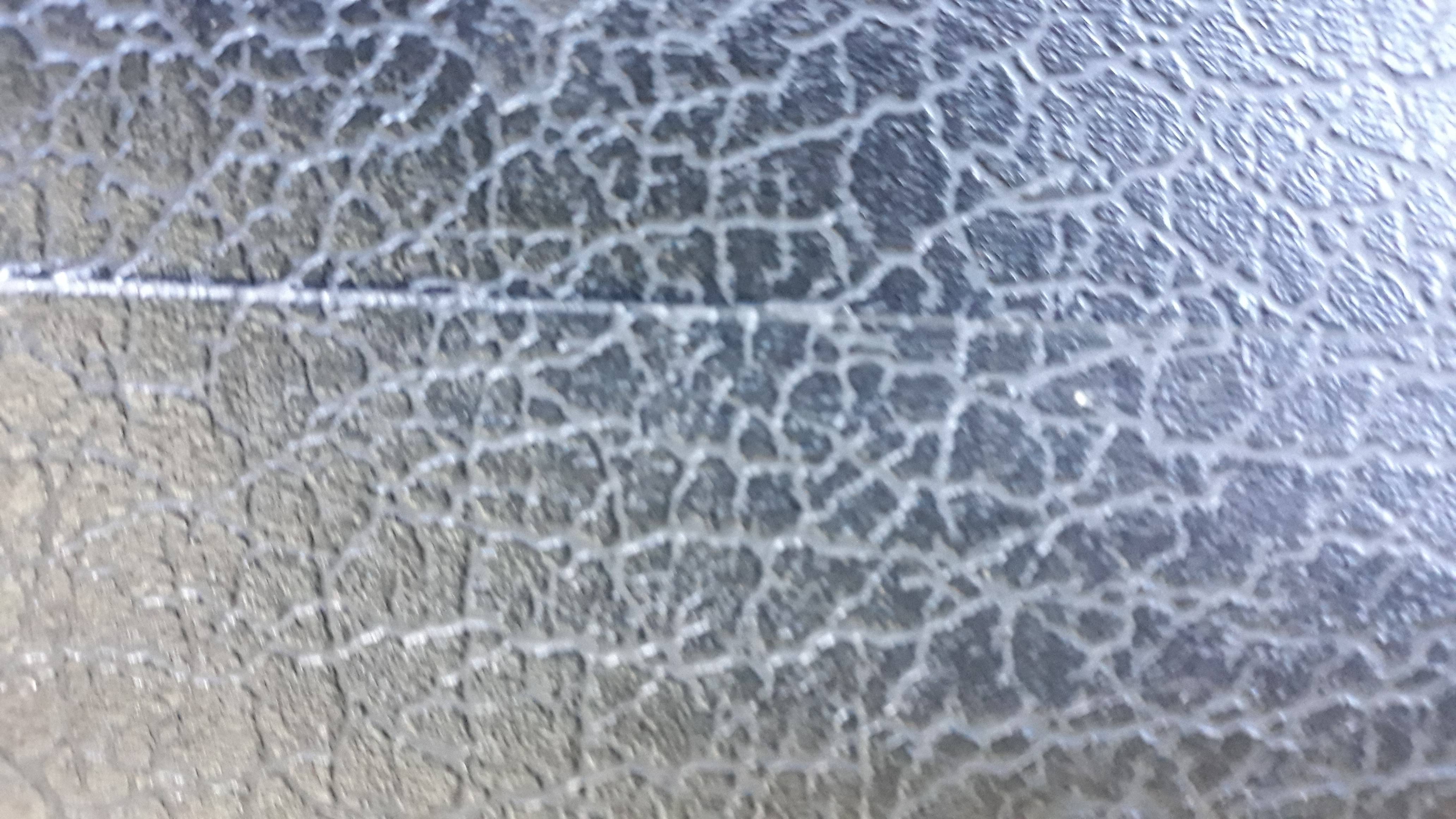 20201203_134540.jpg
