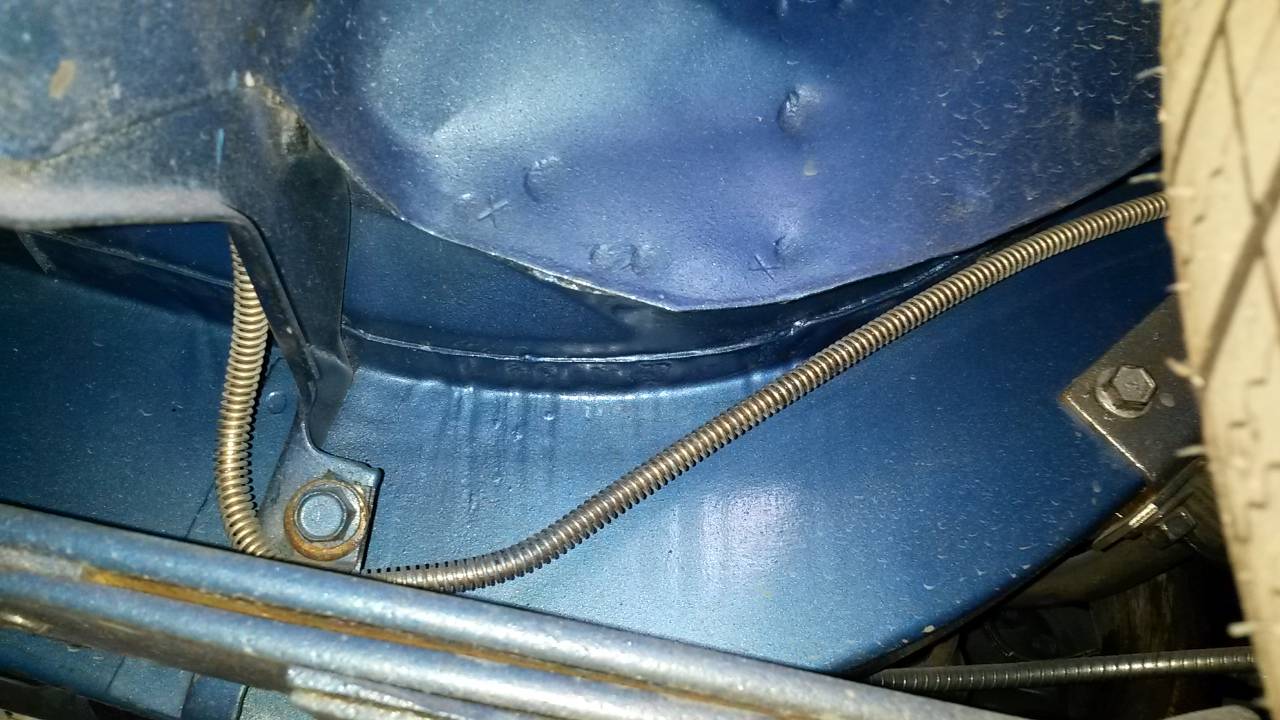 20210625_083536.jpg