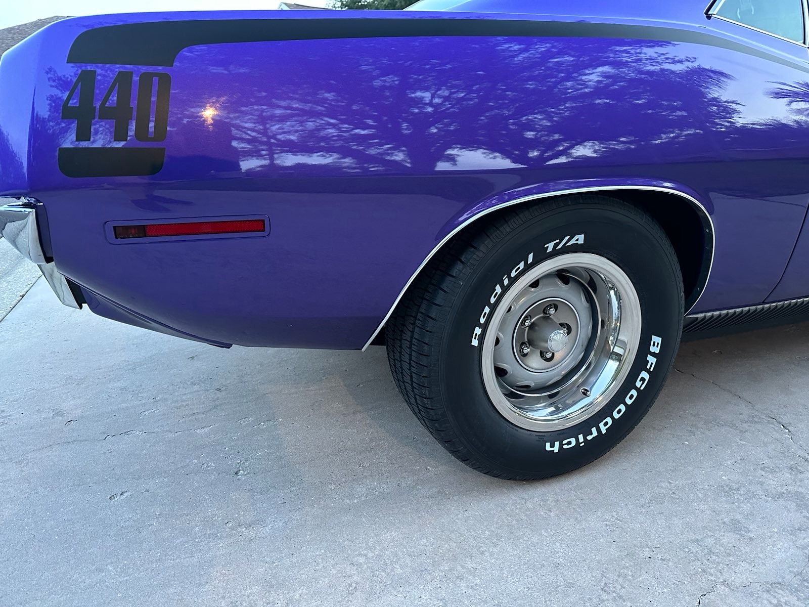 20230415 Cuda at Dusk (5).jpg