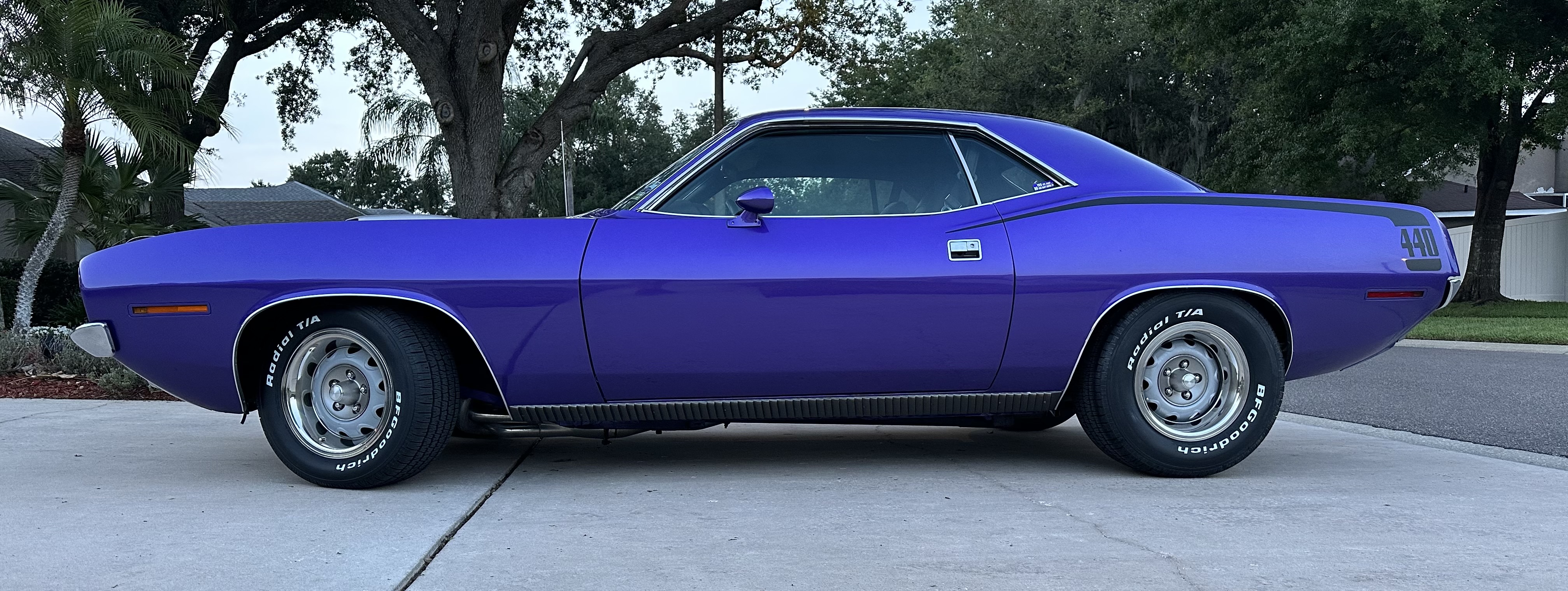 20230415 Our Cuda (1).JPG