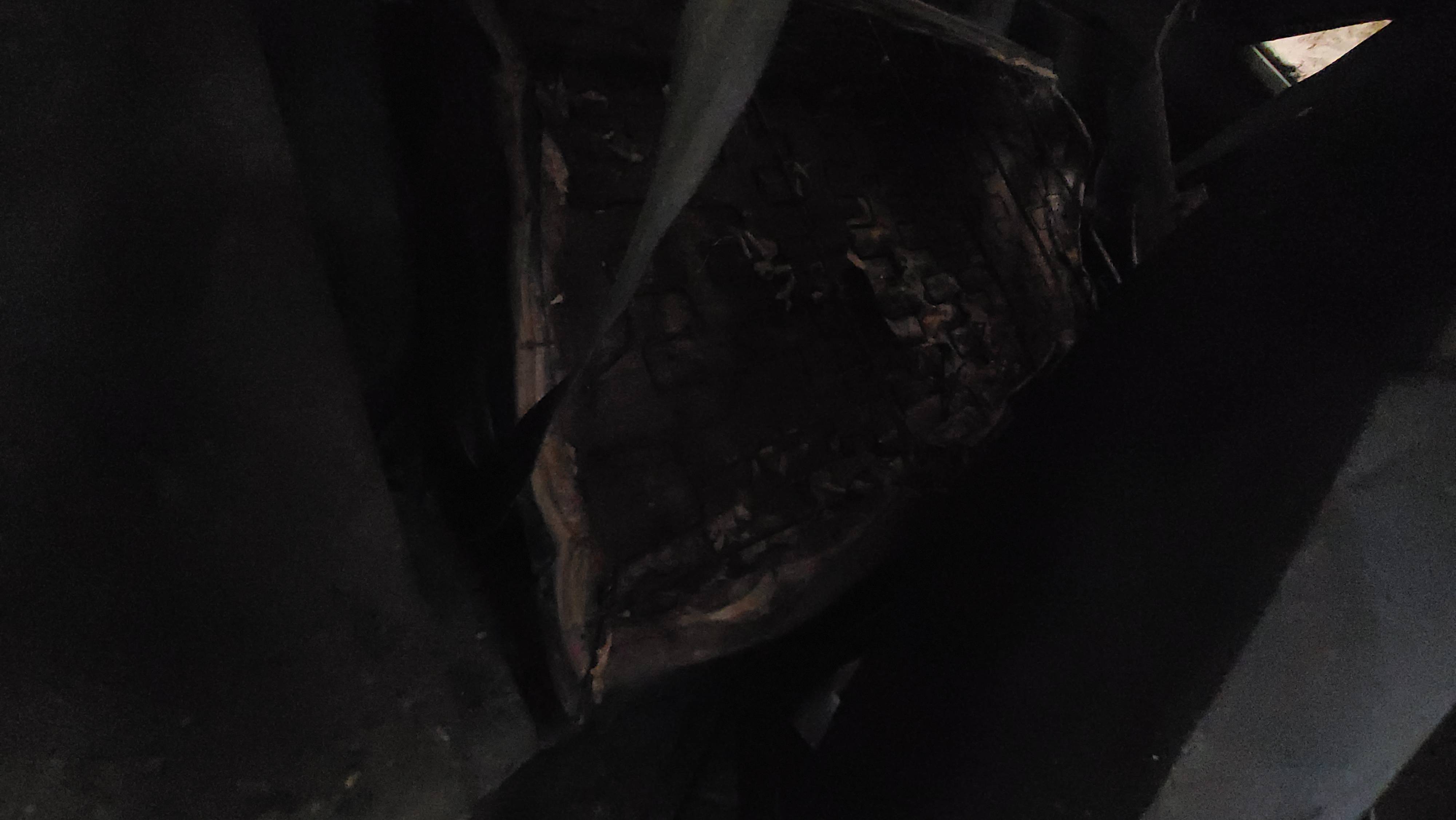 20230430_172151.jpg