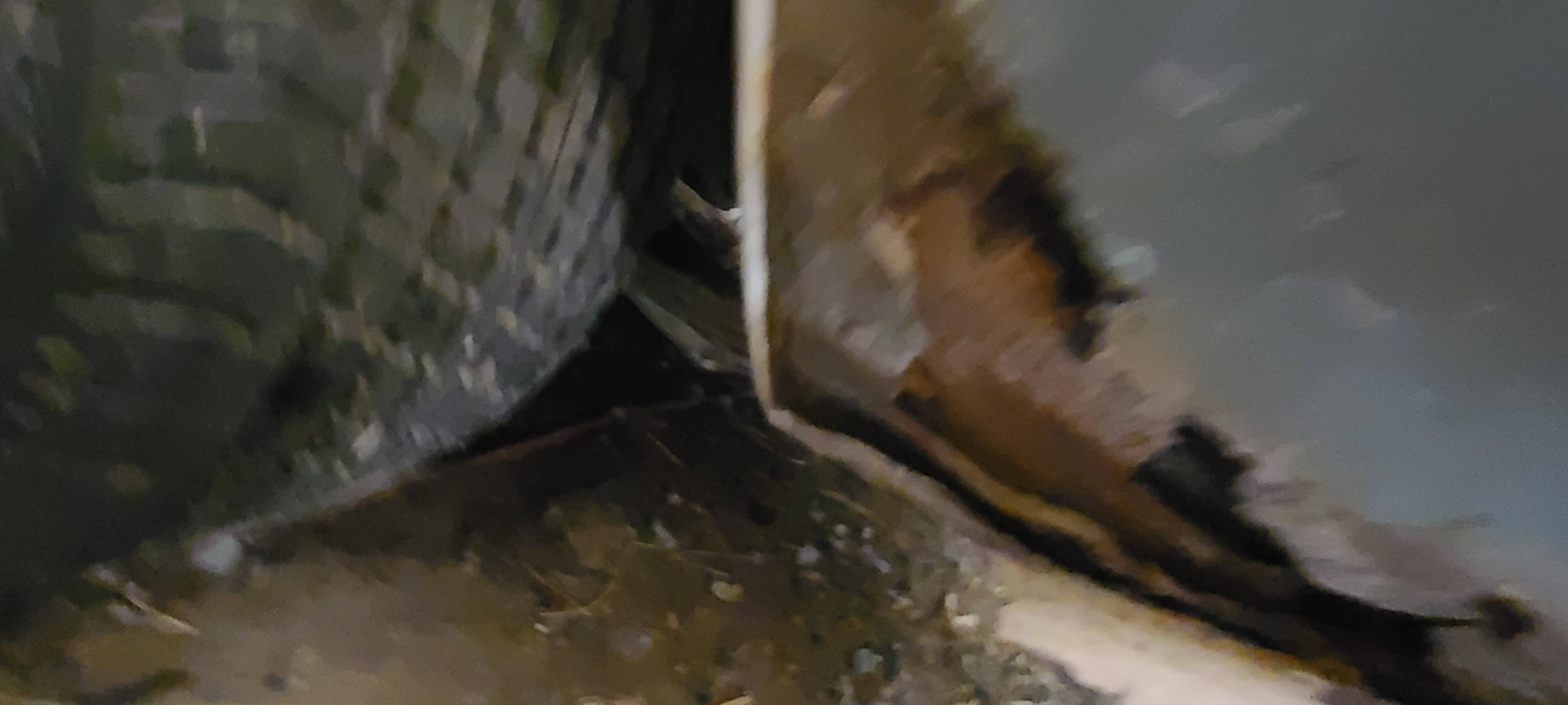20230430_172459.jpg