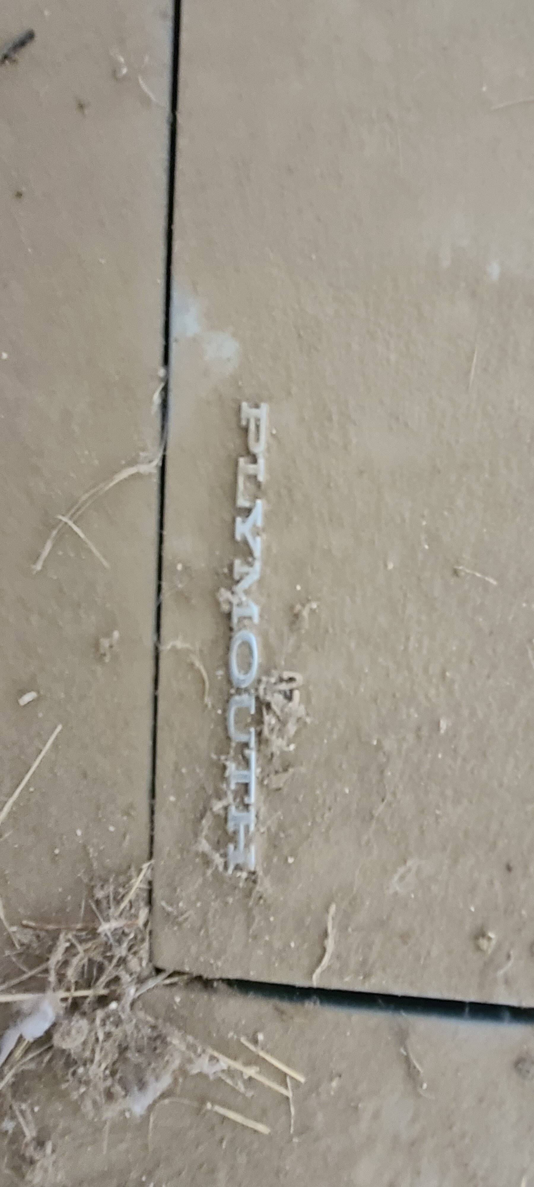 20230430_172824.jpg