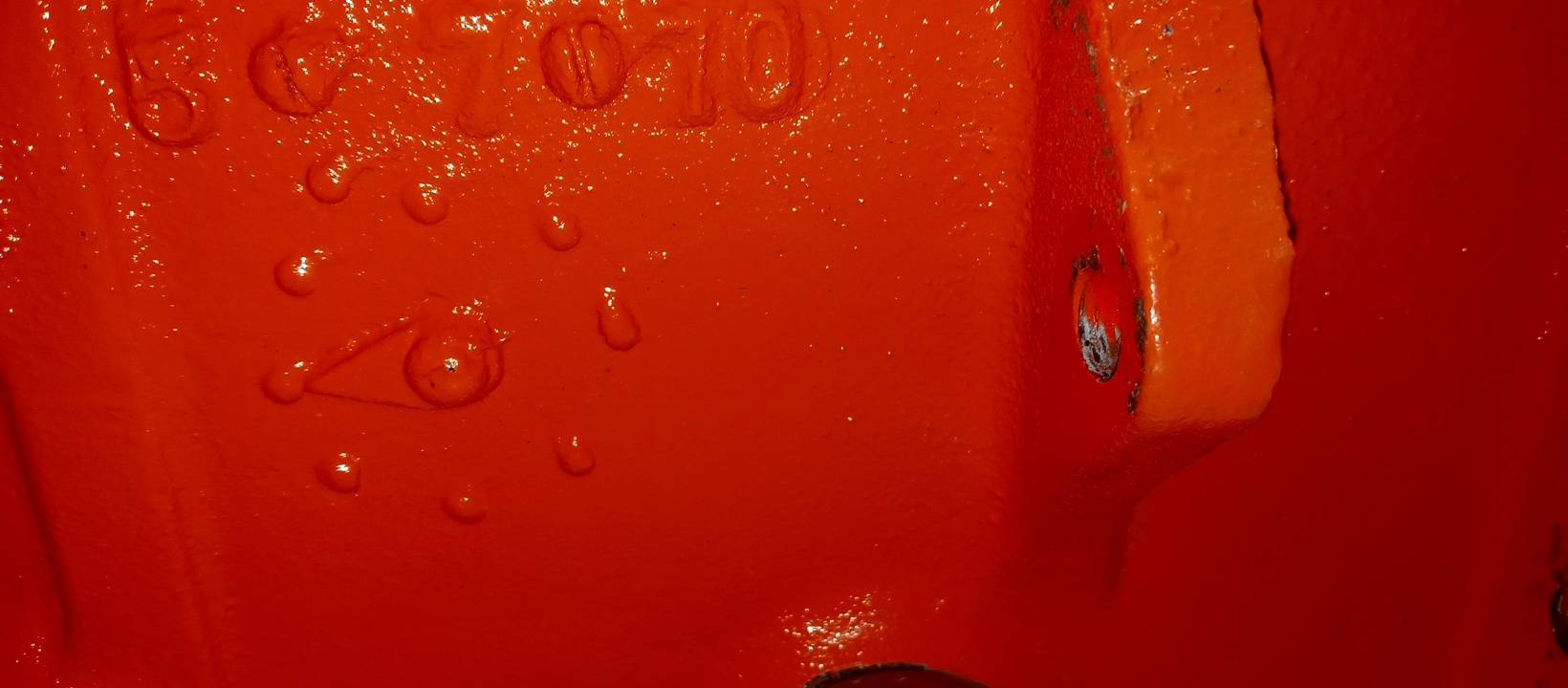 20230603_121237.jpg