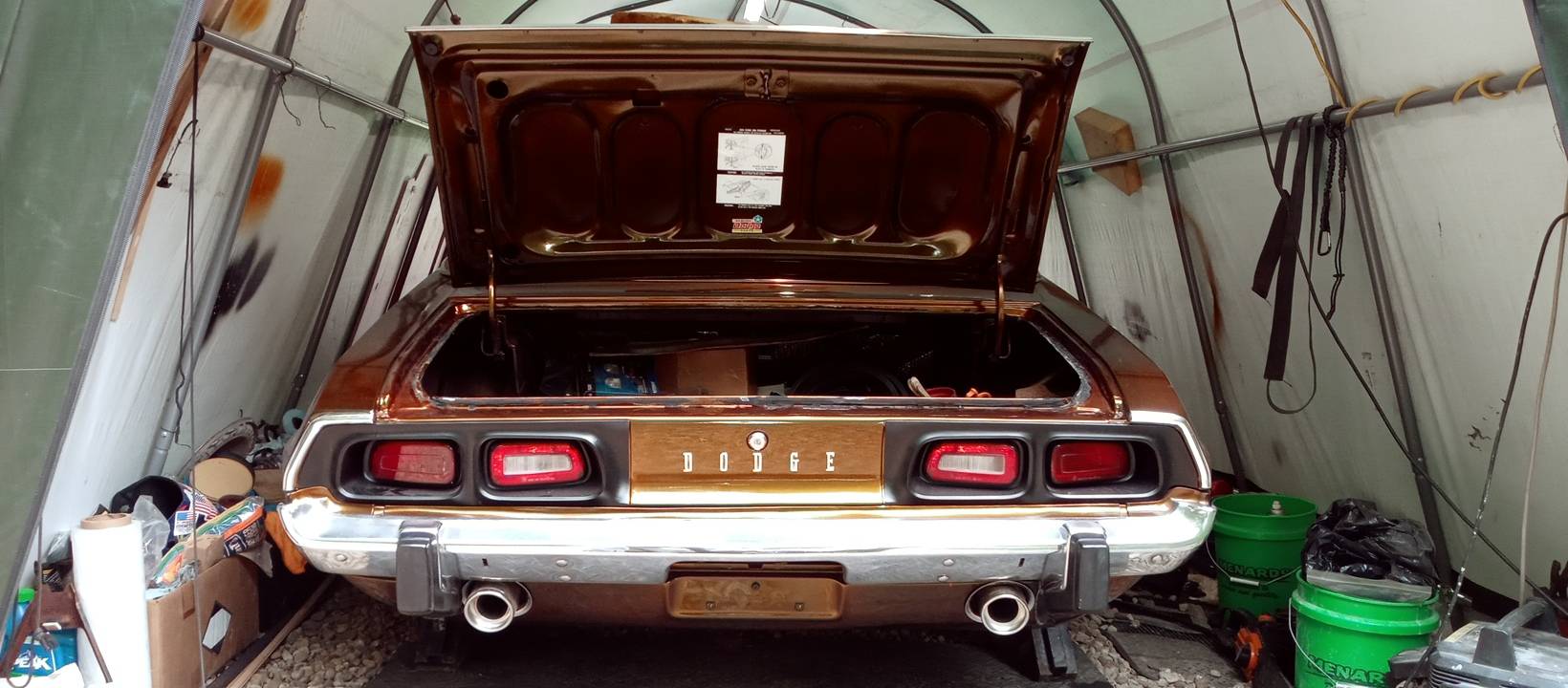 20230614_100753.jpg