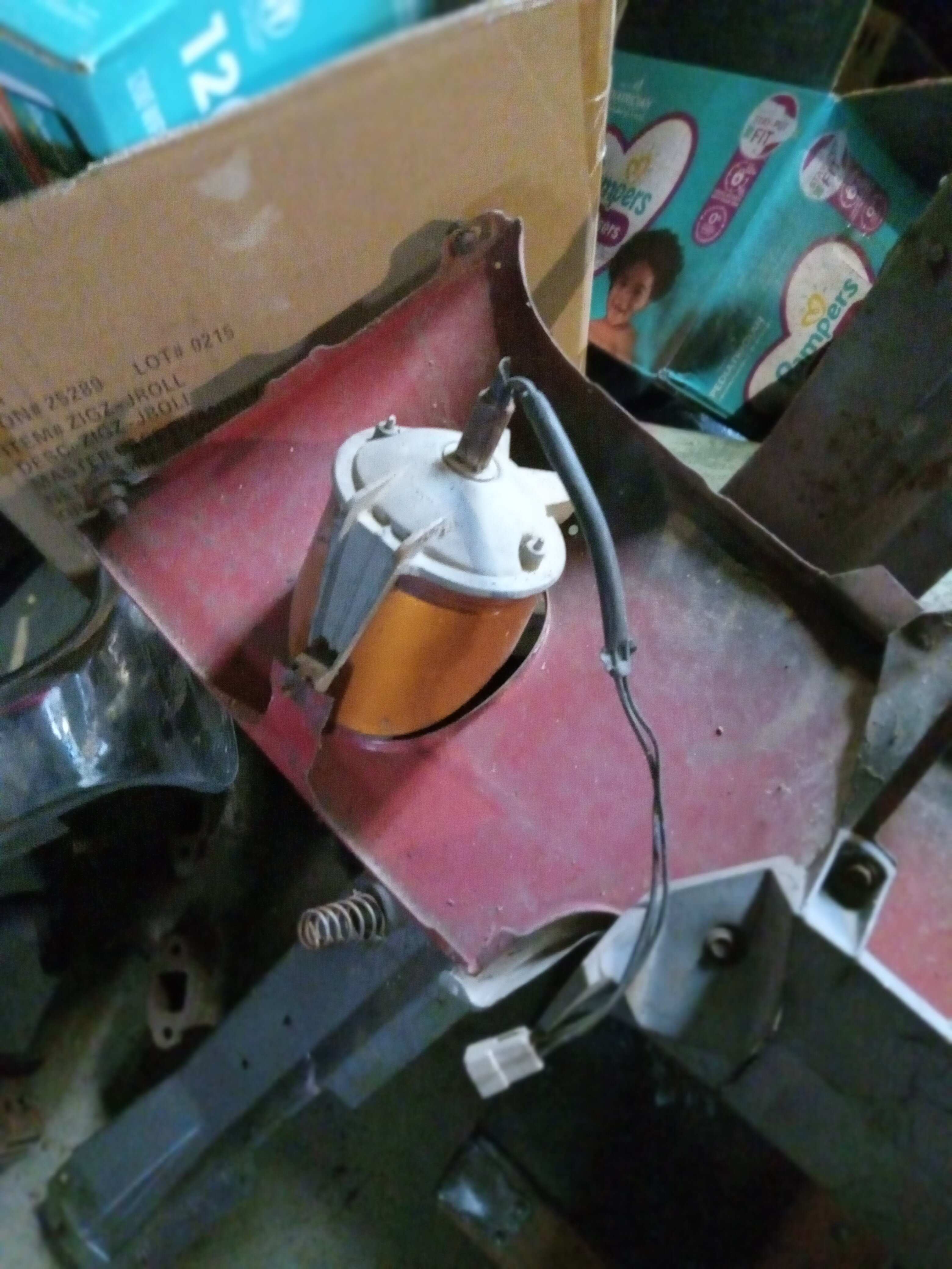 20240121_134124.jpg