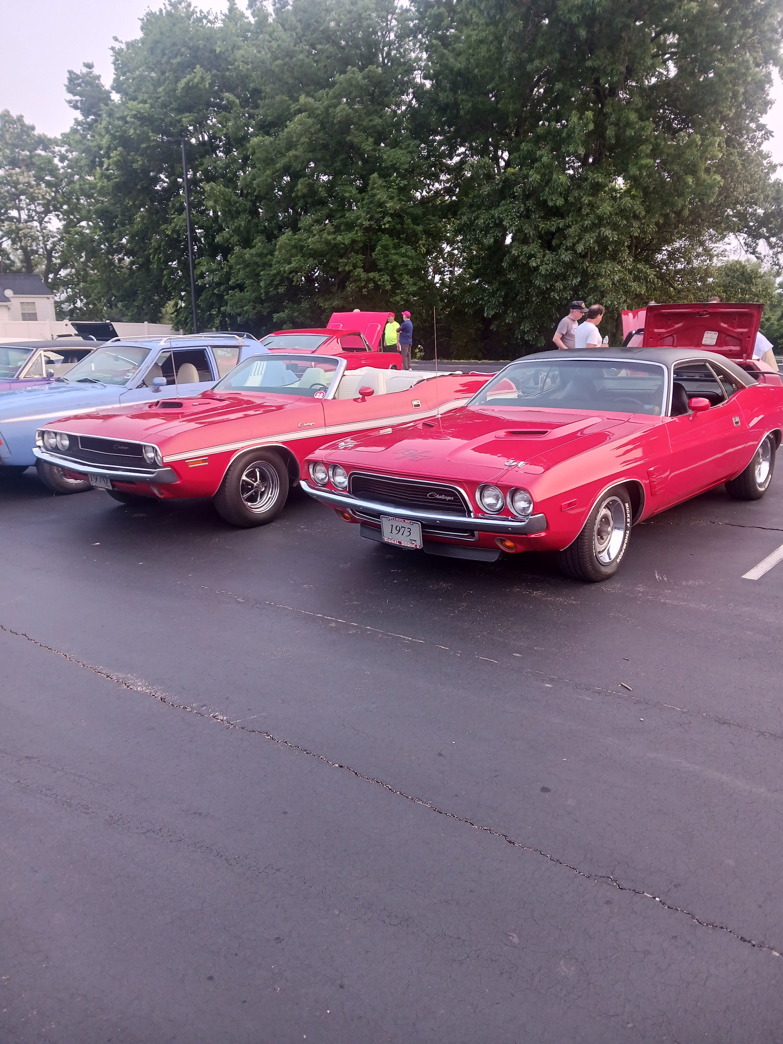 20250530_195513.jpg