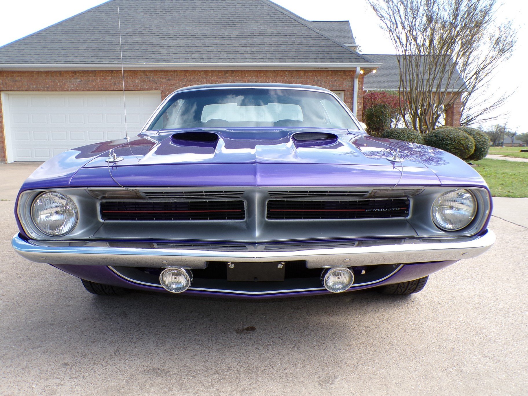 2286 70 CUDA PURPLE 003.jpg