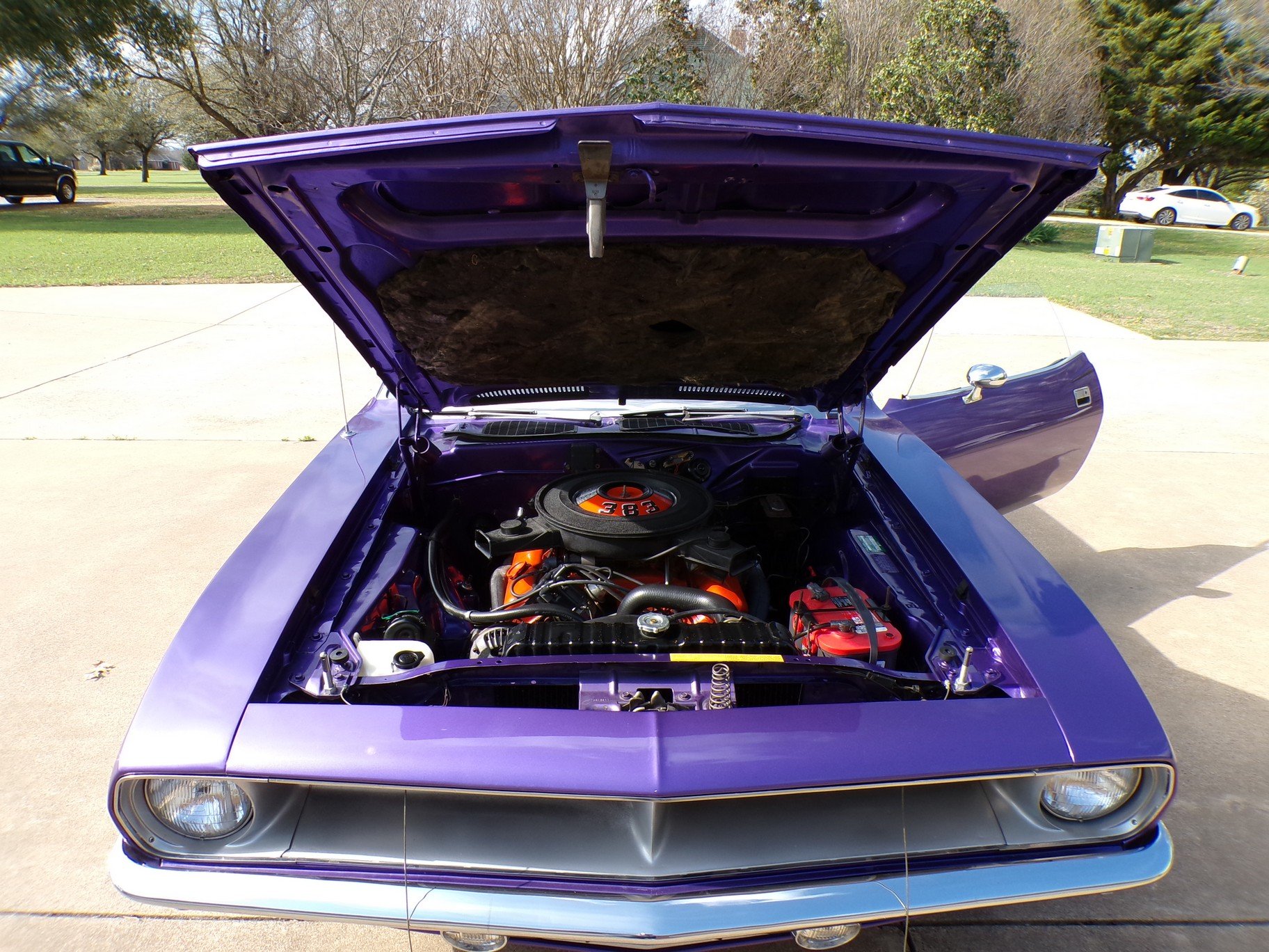 2286 70 CUDA PURPLE 050.jpg