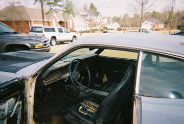 235732771.jpg