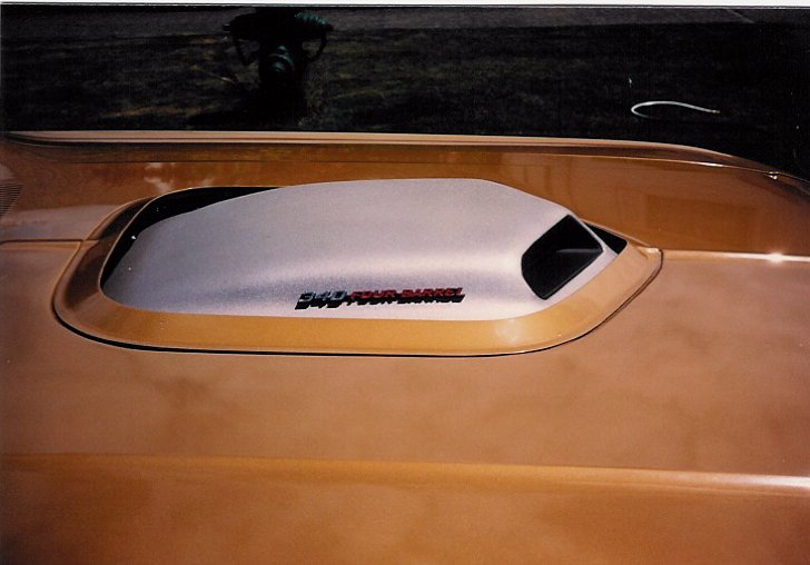 31 71 Shaker Hood.jpg