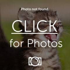 36098f3d.jpg