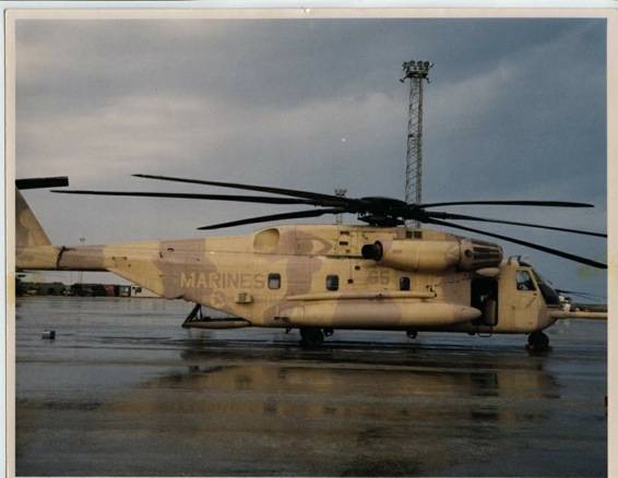 53ELDY2.jpg