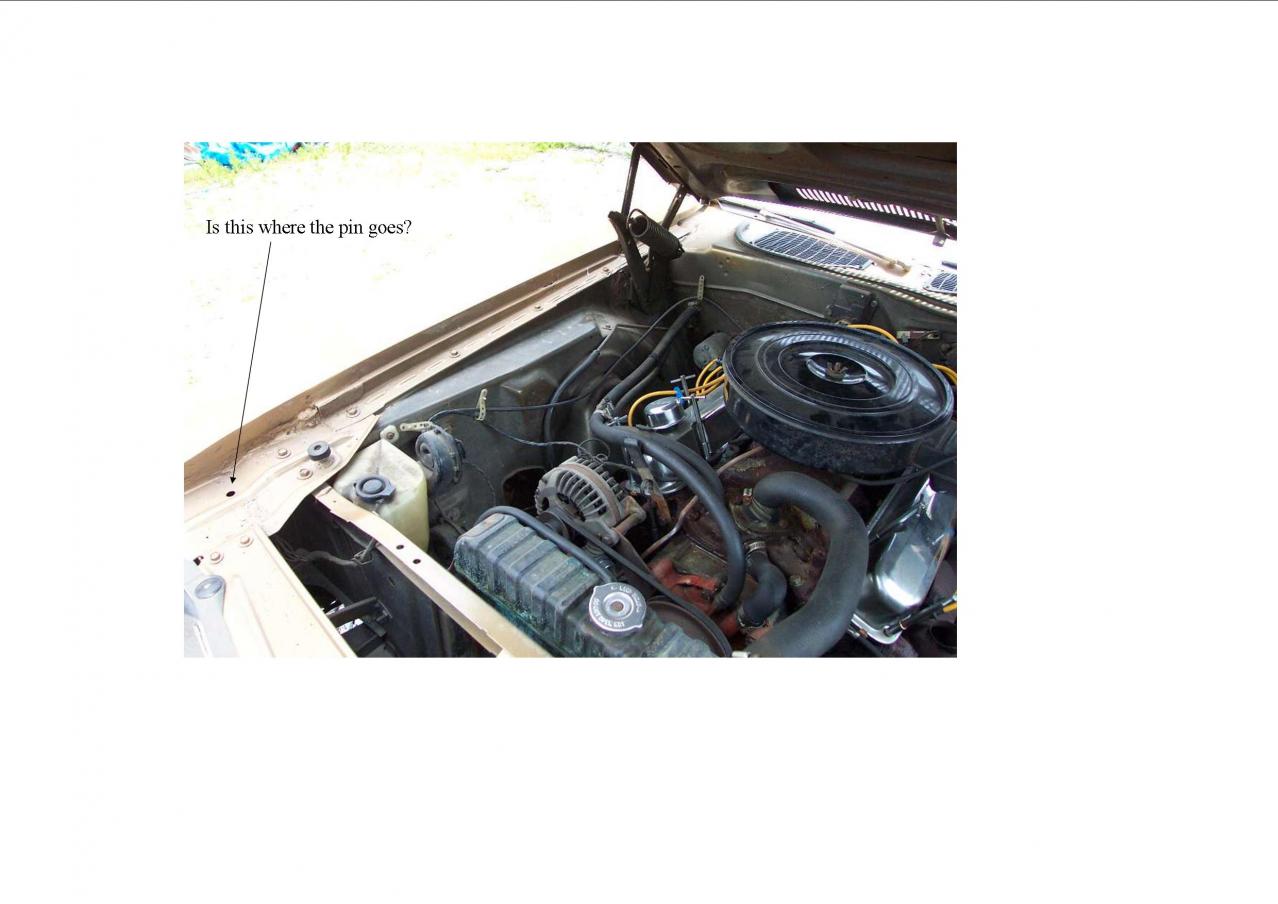 6266188-hoodpinquestion.jpg