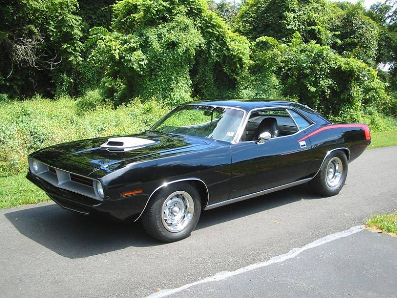 70 hemicuda RF sm.jpg