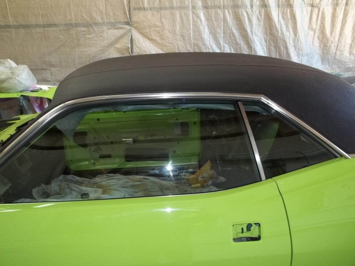 71 cuda 256.jpg