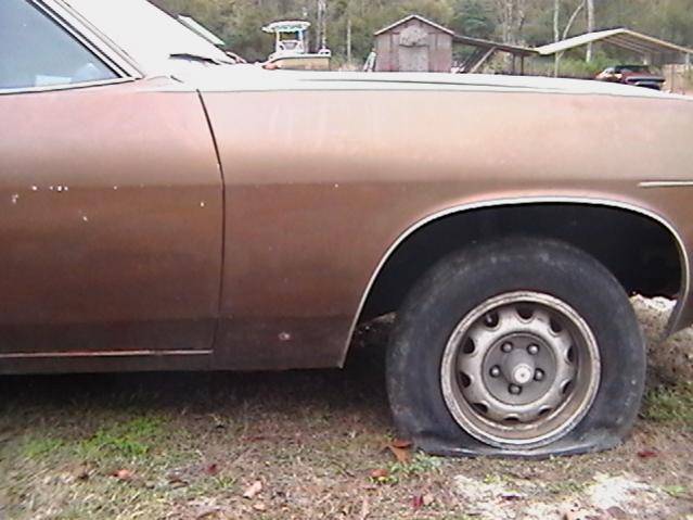 71 cuda brown 003.jpg