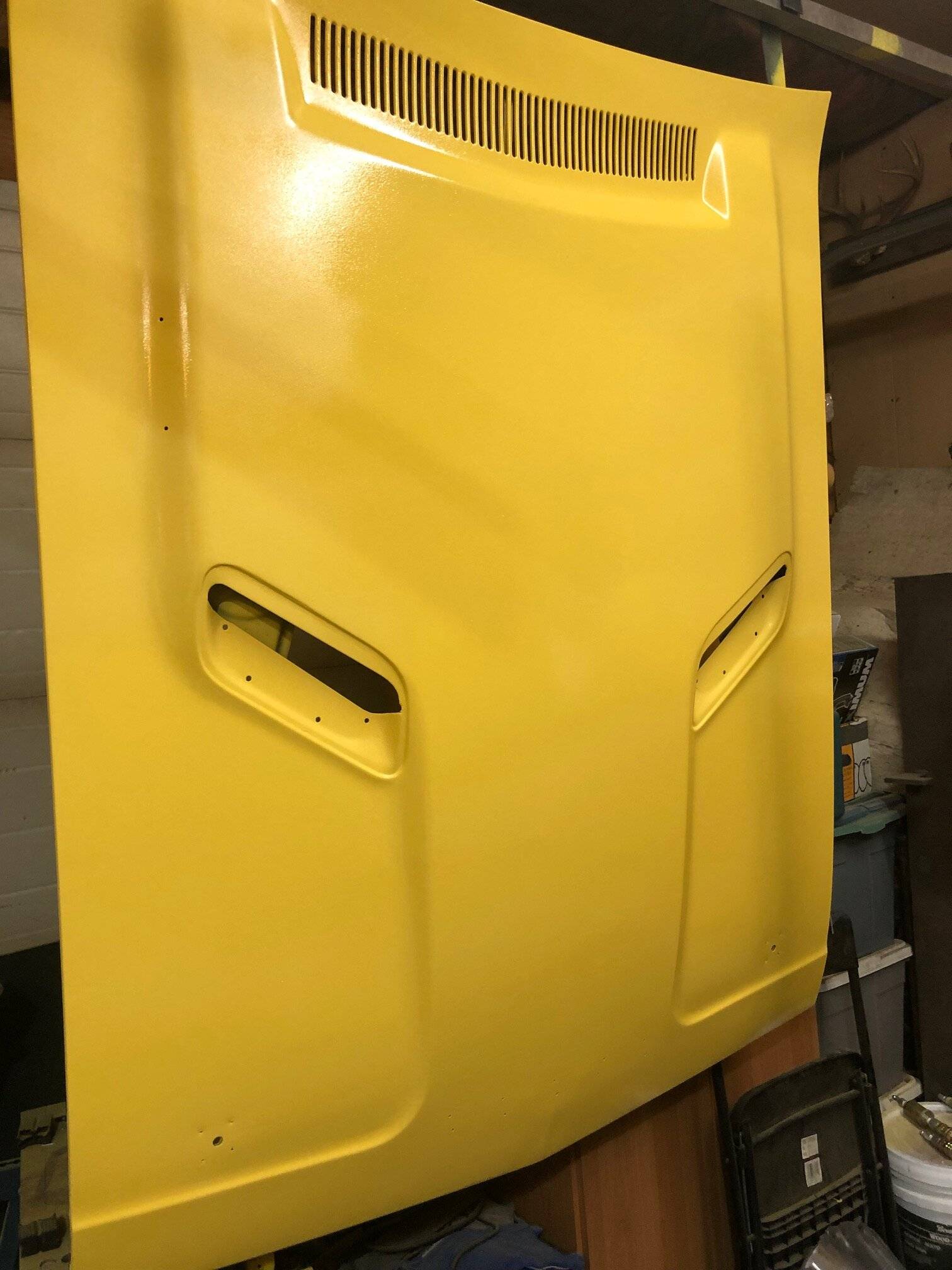 73 Challenger Hood painted.jpg