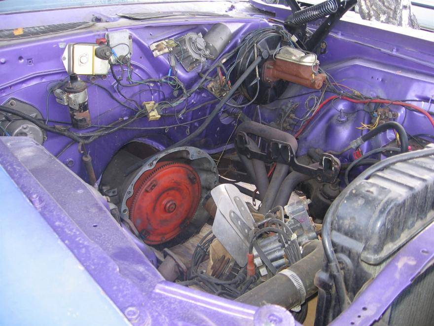 74 baracuda glens 003-1.jpg