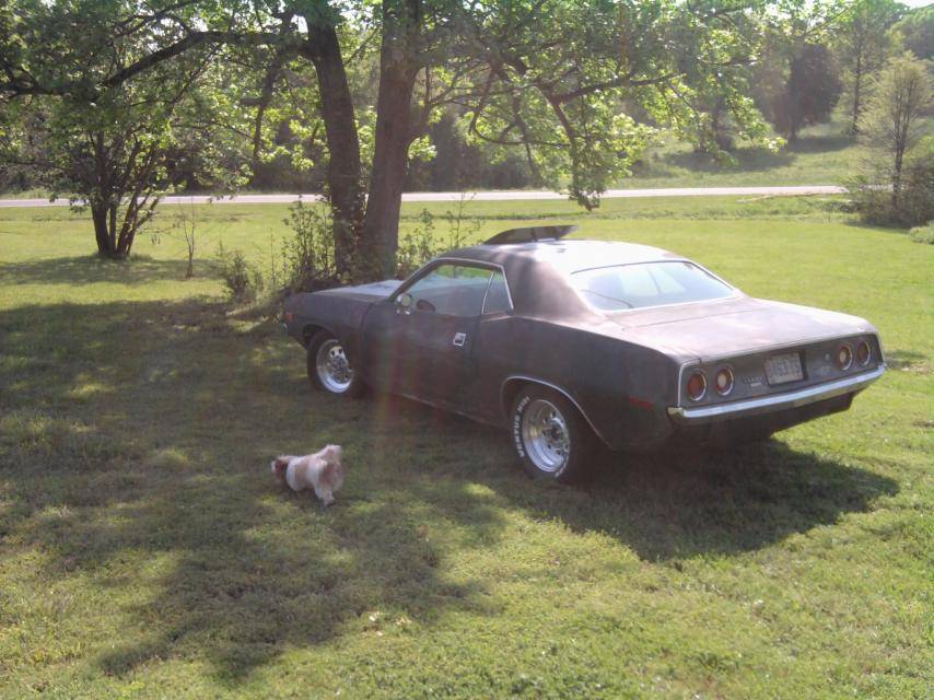 74 'cuda @ ryans.jpg