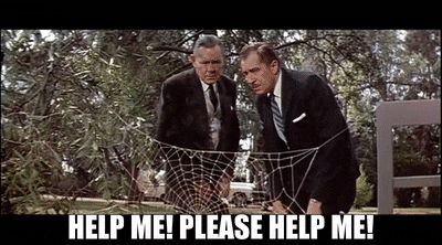 7bb73347-0758-44bc-8fec-dd3b6a9f0b61_text_hi.gif