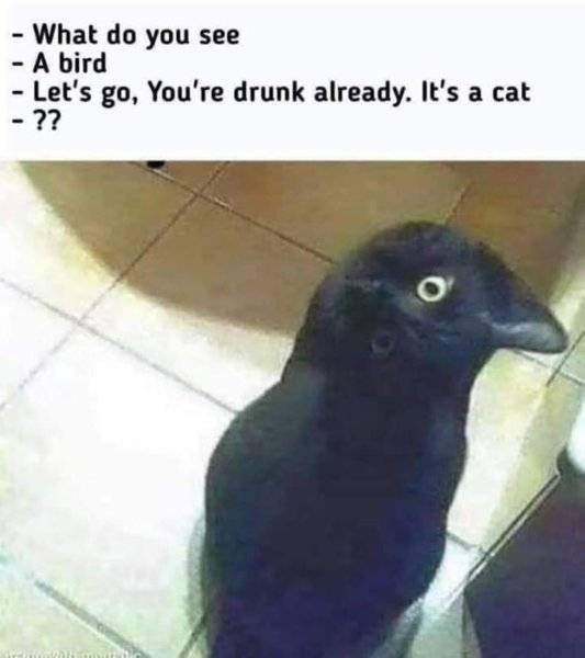 80134285_3246638402018170_4804695904474890240_n.jpg